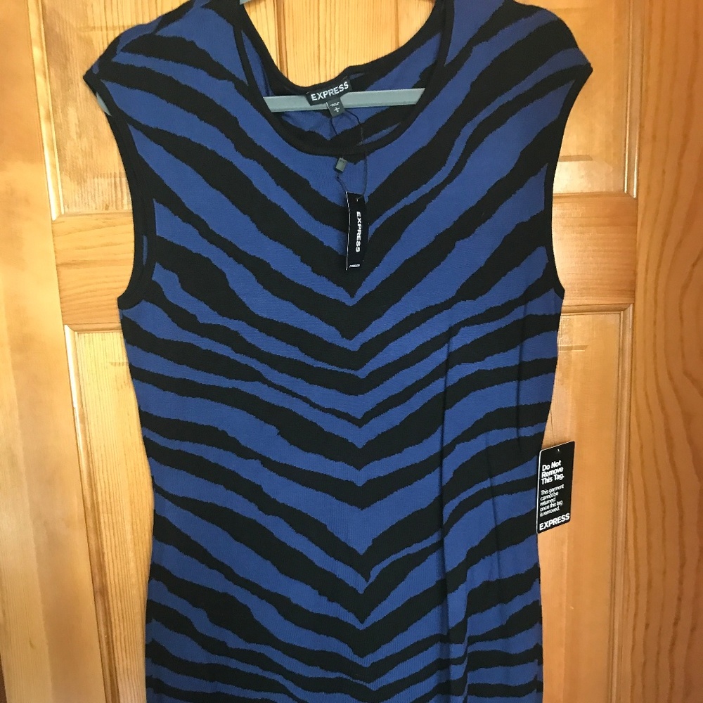 Express Sleeveless Patterned Blue Dress